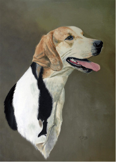 Young Foxhound