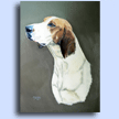 Bear Creek foxhound