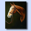 My Irish Mare