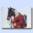Man and Horse