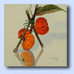 Miniature Pumpkins