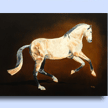 Timeless Andalusian