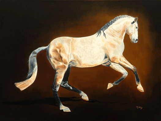 Timeless Andalusian